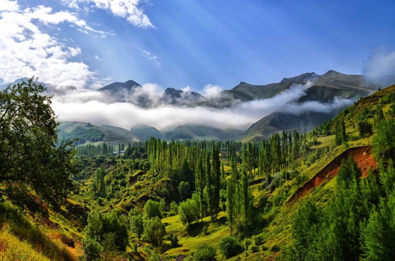 Shoot some Landscape photos 3