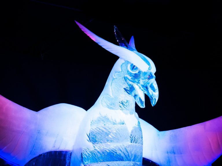 Take an ice sculpture class 2