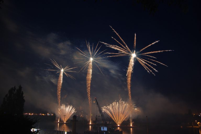 Go to a firework show 3