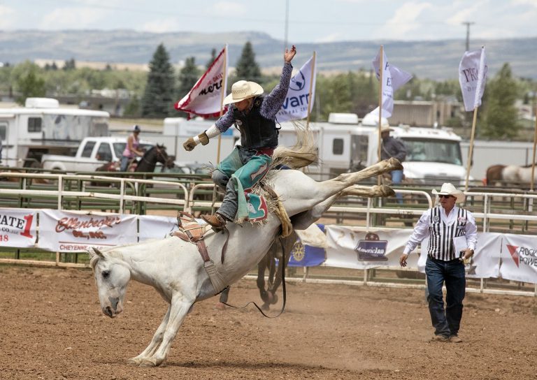 Go to a rodeo 2