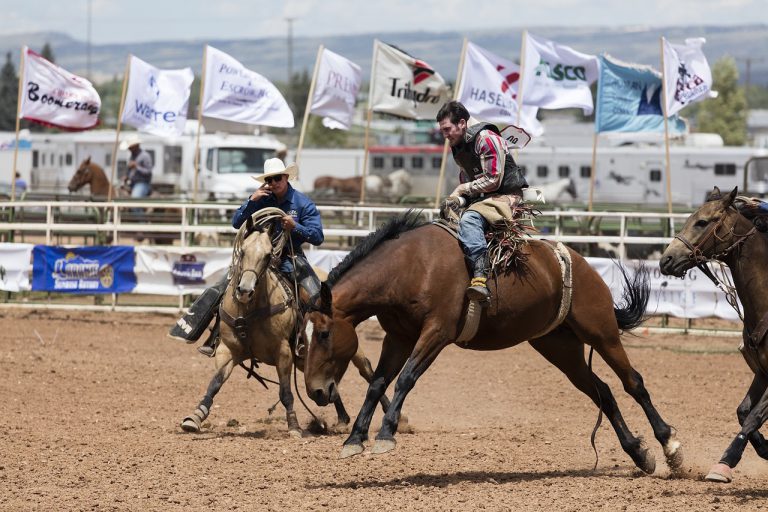 Go to a rodeo 3