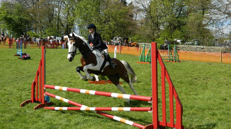 Learn to horse jump 3
