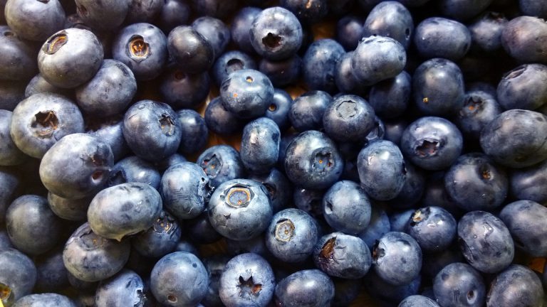 Try a new type of super foods 3