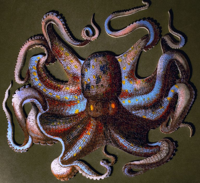 Difficult jigsaw puzzle 3