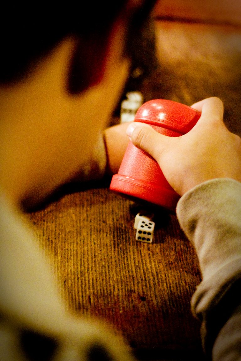 Liar’s Dice 3