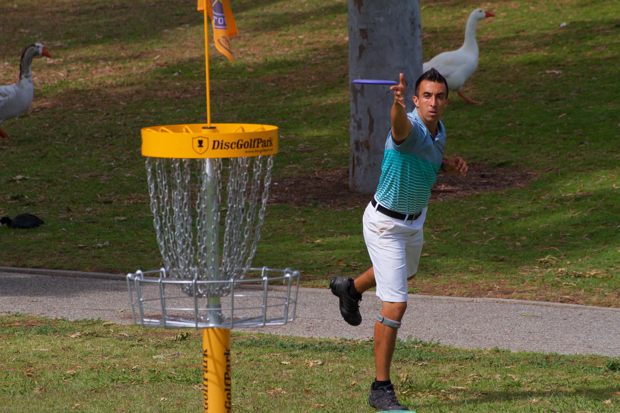 Throwing a Disc at Disc Golf Net