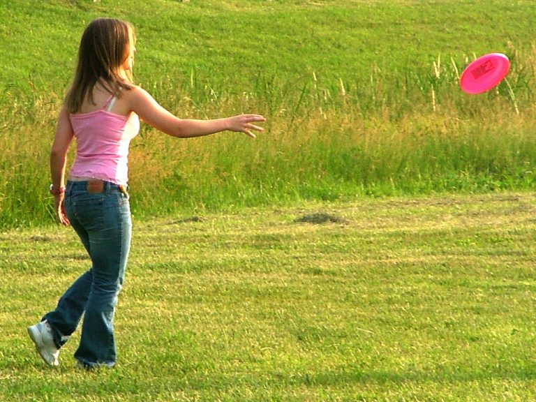Play flying disk at the park 3