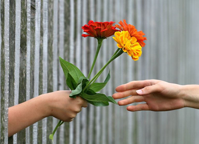 Flowers through a fence
