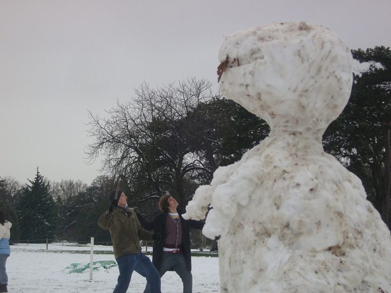 Snow sculpture of T-Rex