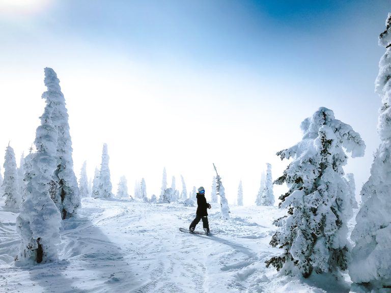Powder Day Snowboarding through Snow Covered Trees