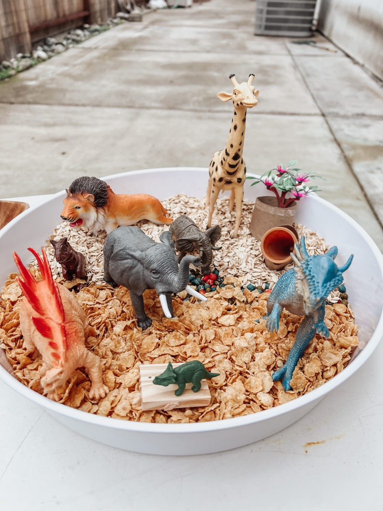 Let’s go to the Zoo