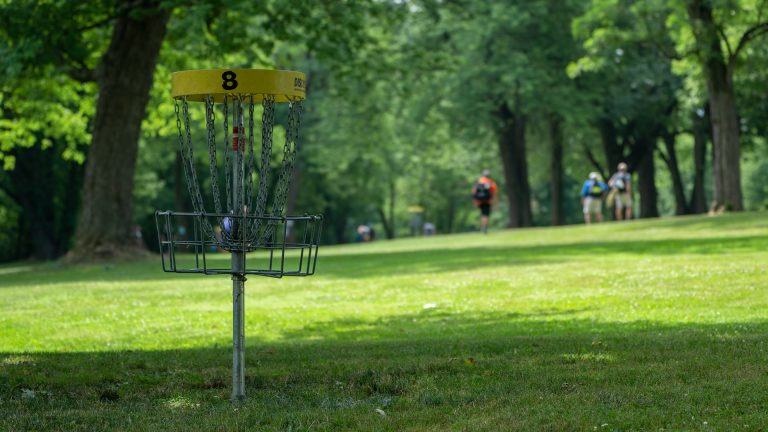 Disc Golf Course Net