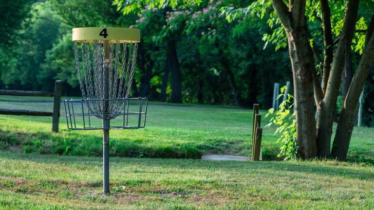 Disc Golf Net in Field