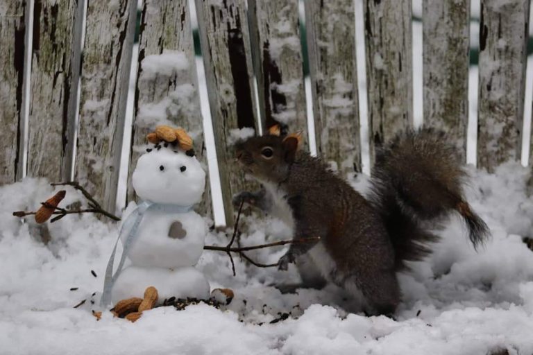 Mini-men, squirrels and birds like them too! #randomactsofsnowmen