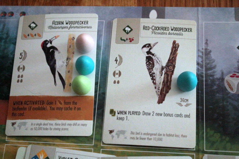 Wingspan Game Cards and Eggs