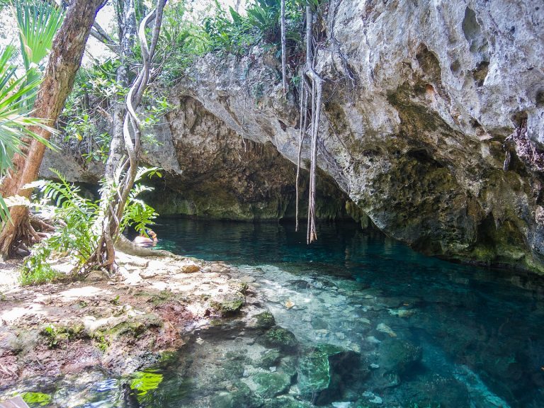 Gran cenote Tulum turtle