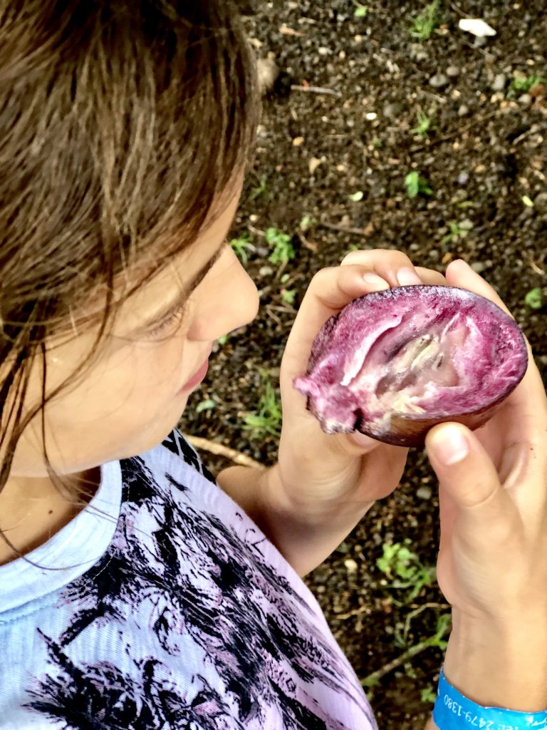 Tasting new tropical fruits