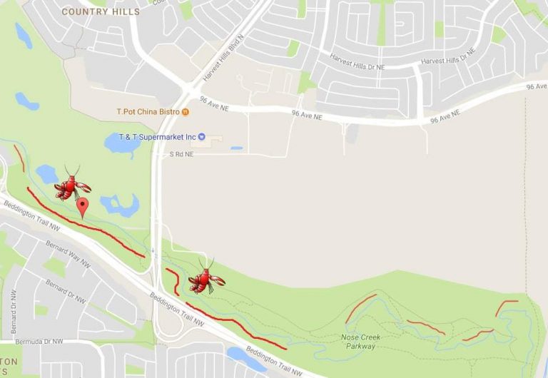Crayfish Nose Creek Map