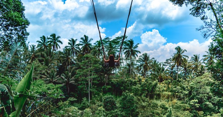 Jungle Swing