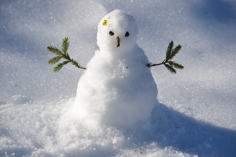 Cute little snowman