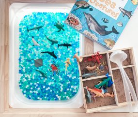 Sea and Ocean themed Sensory Bin