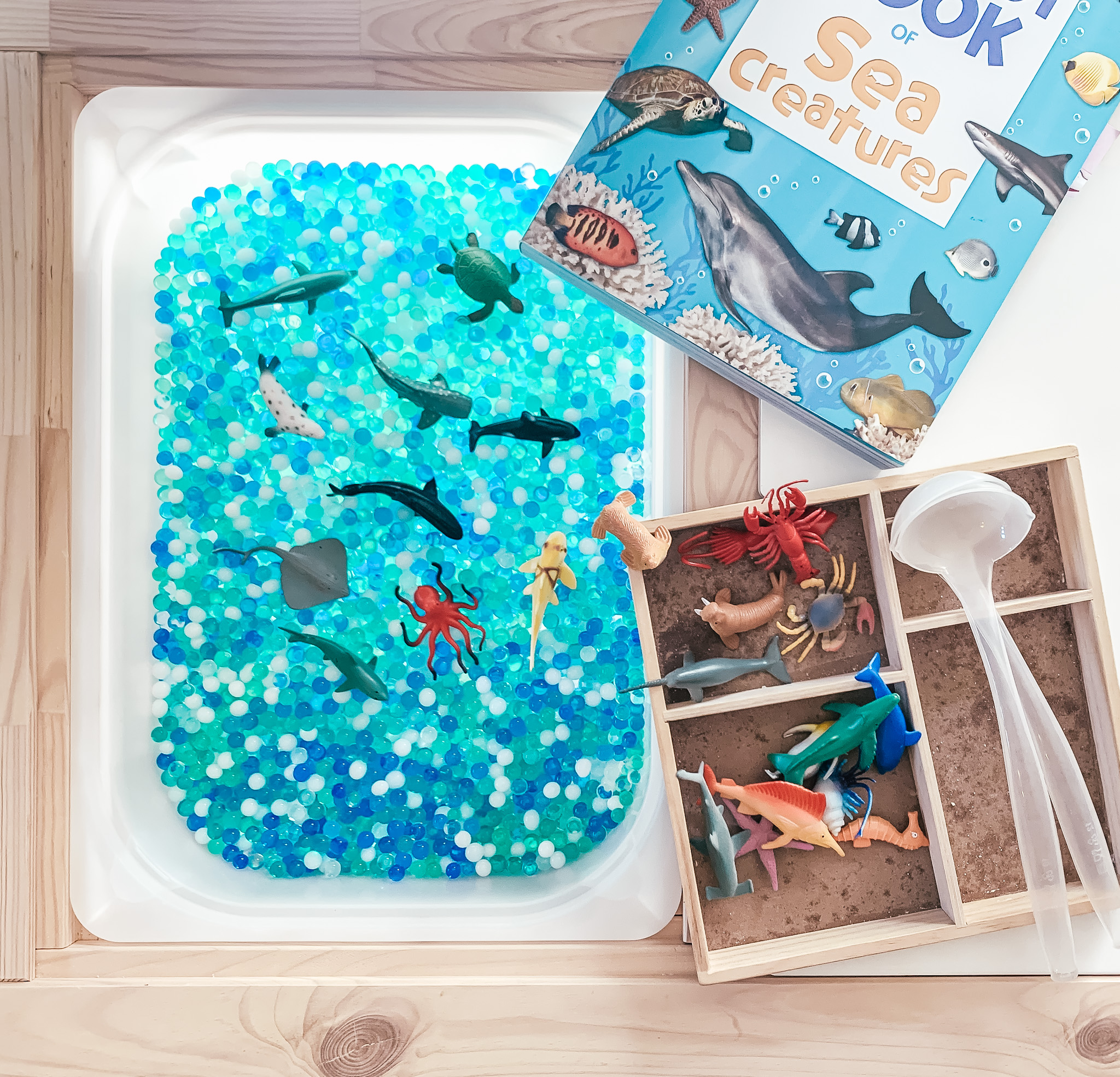 Sea and Ocean themed Sensory Bin