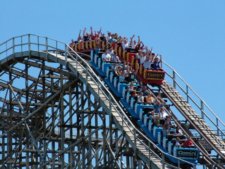 Gemini Roller Coaster