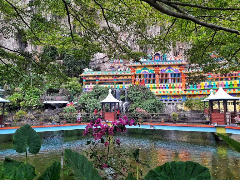 Beautiful Fish and Tortoise Pond