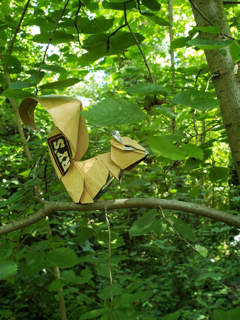 Squirrel (designed by Kyohei Katsuta)