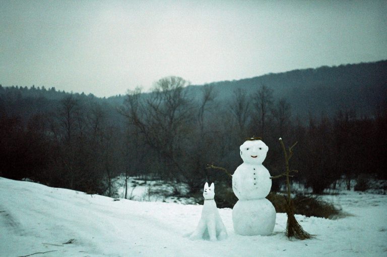 Snowman and Snowdog