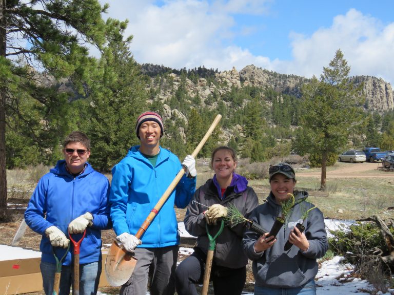 Tree Planting Crew