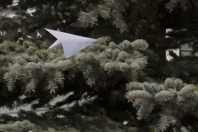 Paper Flight