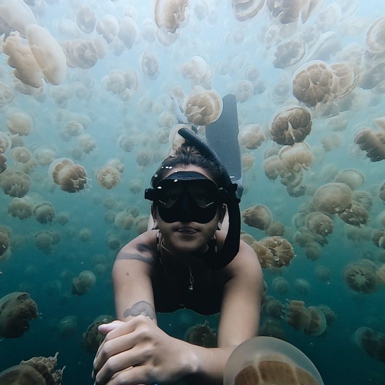 Swimming in Jellyfish Lake, Palau