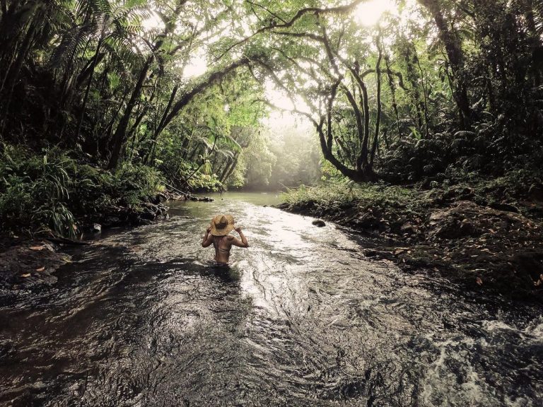 Beautiful stream in Palau