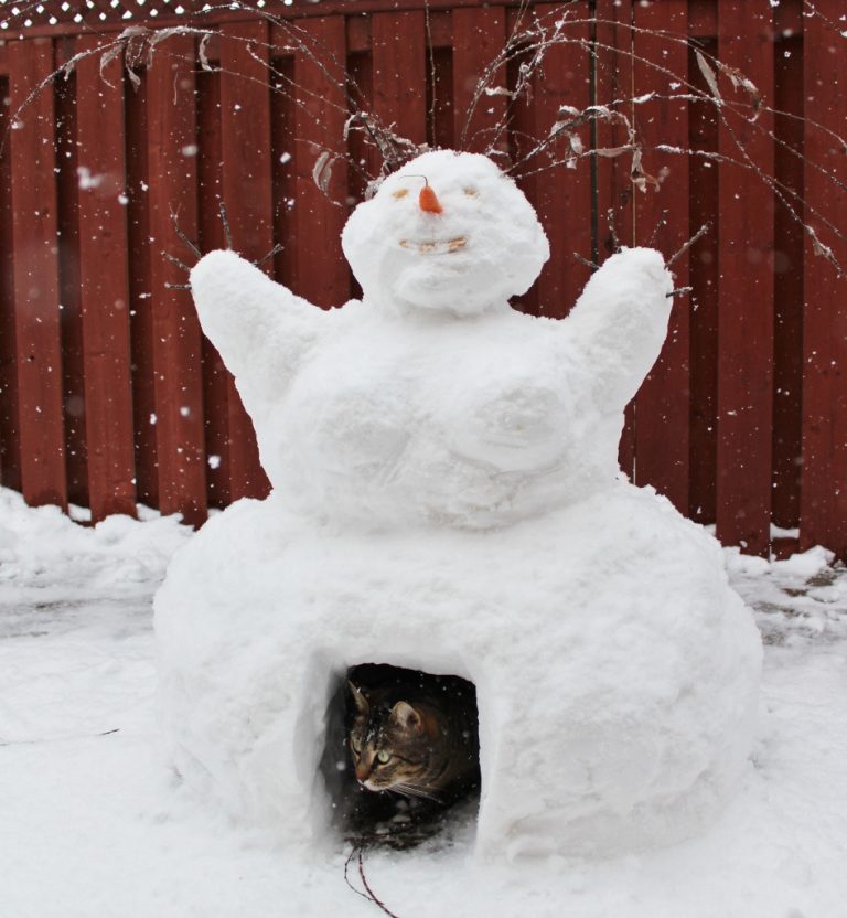 Cat House Snowoman