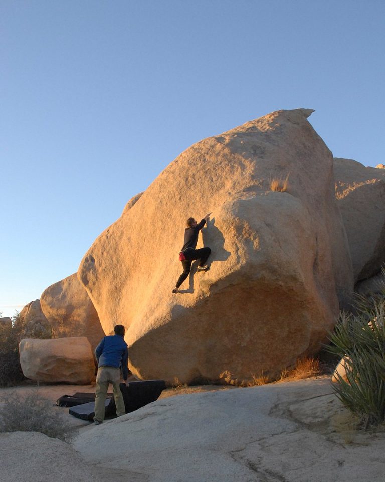 Climber on Stem Gem
