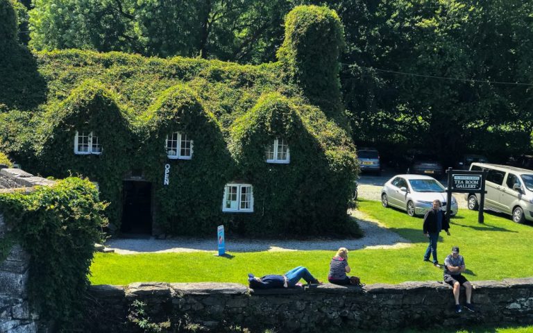 A quaint, whimsical cottage completely blanketed in creepers