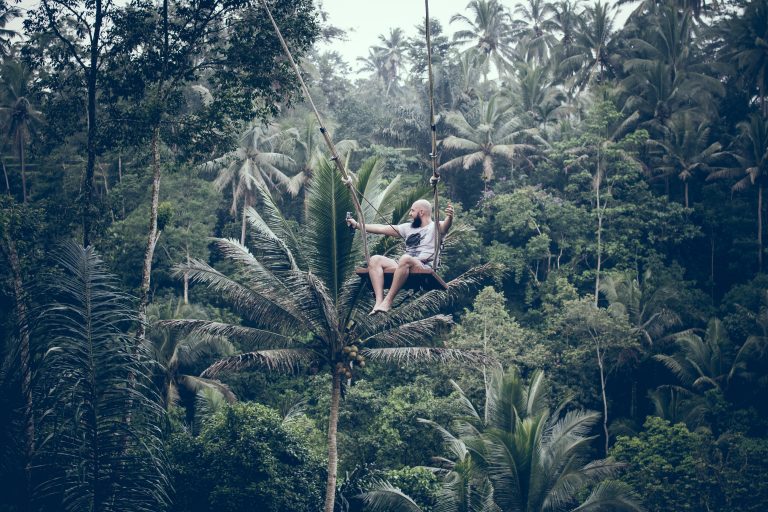 Jungle Swing