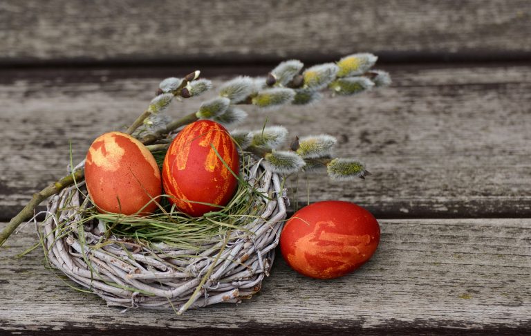 Easter egg nest